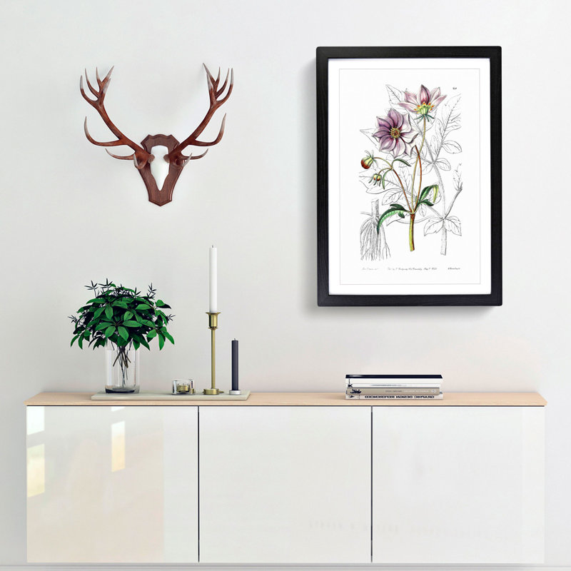 Purple Dahlia Flowers - Framed Print, 36cm H x 27cm W x 2cm D, Black Framed