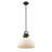 Bales 1-Light Dimmable Dome Pendant-91584193-91584196