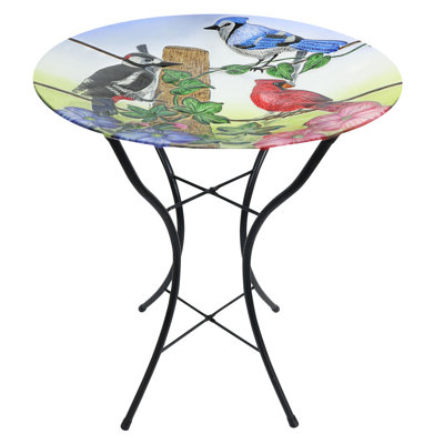 Bain d'oiseaux en verre Country Birds