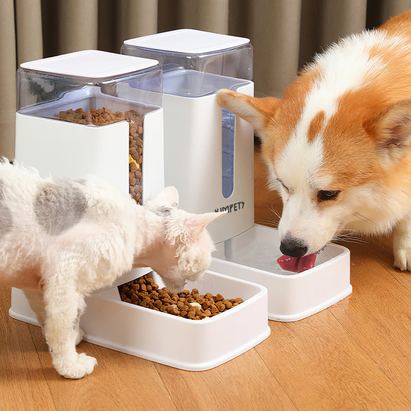 Elevated Feeder
