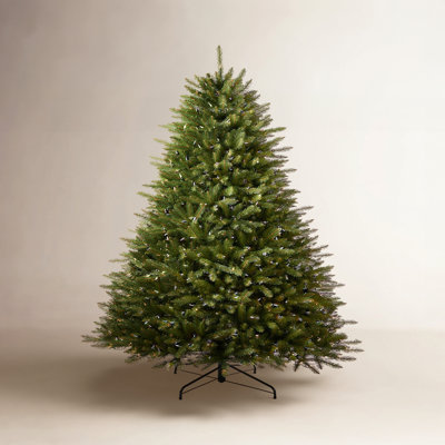 Lighted Christmas Tree