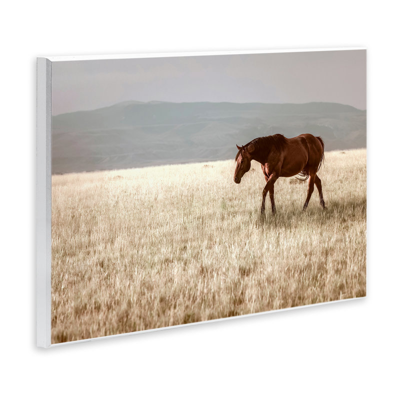 Plaque murale Serene Montana Stallion, design par Christy Berry, H 10 po x l 15 po