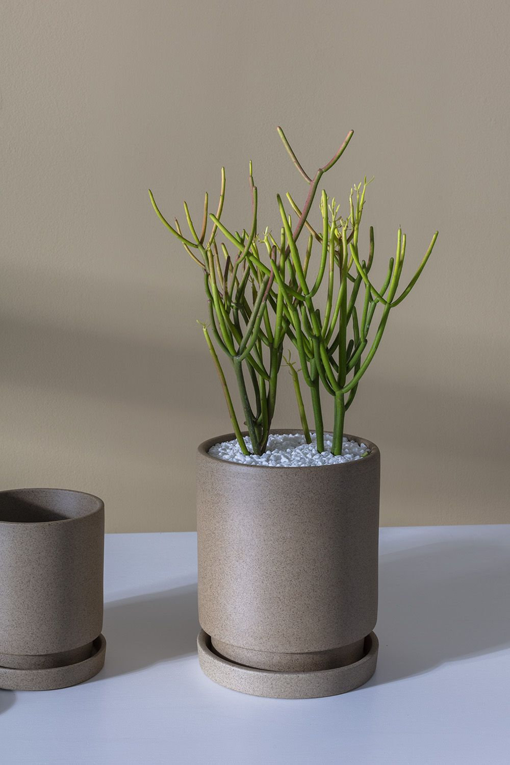 Elle Ceramic Pot Planter, 8" H x 6.5" W x 6.5" D