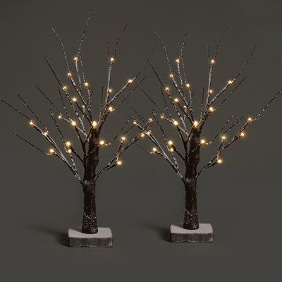 Decorative Accent