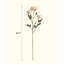 Three-Head Seattle Dahlia Flower Stem 30.7" Tall-210724197