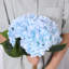 Hortensia Laidley-884635535