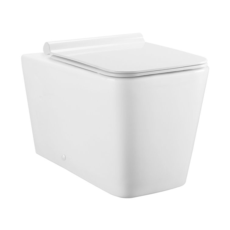 Concorde Back-To-Wall Toilet Bundle 0.8/1.6 GPF Dual Flush In Glossy White With Flush Plate