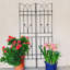 Treillis polyvalent en métal pour les plantes d'extérieur, rehaussant la beauté du jardin-779805479
