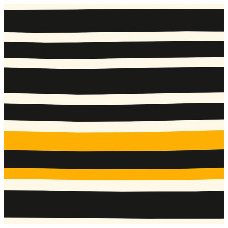 Coussins décoratifs noirs et blancs à rayures orange, 26 x 26 pouces