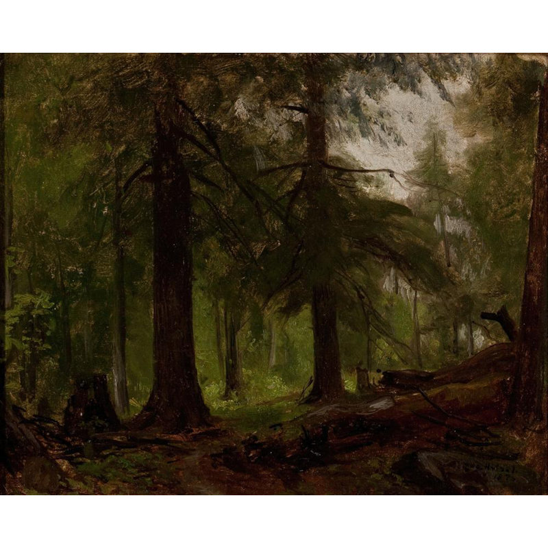 «Forest Interior» par George Hetzel - Art mural sur toile tendue avec châssis, H 24 po x l 17 po