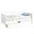 Blanc est en rupture de stock