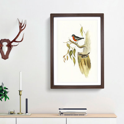 Flame-Breasted Robin by Elizabeth Gould - Picture Frame Painting Print