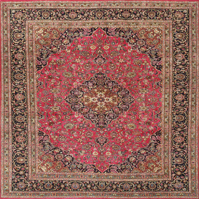 Oriental Indoor Rug