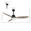 Clarra 52'' Ceiling Fan with LED Lights-2046170367