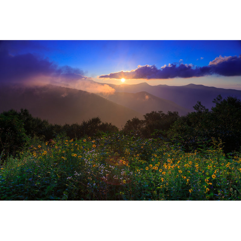 «Sunrise with Wild Flowers» par Jaredkay - photographie sur toile tendue, H 12 po x l 18 po