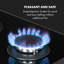 Klarstein 4200 Watt Gas Double Torch