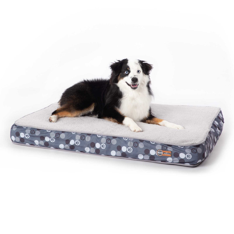 Lit orthopédique pour chien Superior, gris, Médium