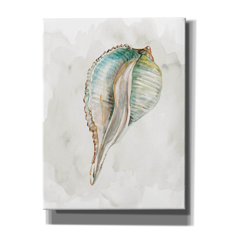 «Pastel Shell I» par Carol Robinson, H 16 po x l 12 po x P 0,75 po