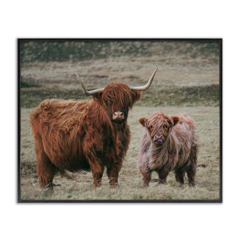 Maman et bébé vache, estampe numérique, design par lettré et doublé, H 11 po x l 14 po, Giclée encadrée noir minuit