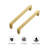 Brushed Brass Solid Pulls Cabinet Handles 5 Inch 30 Pack，Solid Zinc, Slim Design, Mounting Screws Included, Kitchen Cabinet Hardware, For Cupboards, Dressers, Drawers-135720612-135720607-135720610