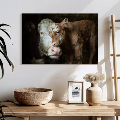 Brampt Cuddly Baby Cow
