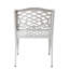 Chaise avec accoudoirs Phoenix (ensemble de 2)-1443263703