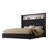 Queen Size Velvet Tufted Soft Bed Frame With USB Port And Night Light,52'' High Headboard With Rivet Decoration, Wing-Back Platform Bed With Headboard Shelf, Black-769682894-769682892
