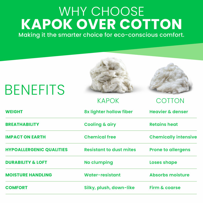 Bourre en kapok biologique de qualité supérieure - parfaite pour les coussins, les lits pour animaux de compagnie, les divans et les divans - sans produits chimiques et hypoallergénique