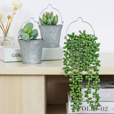 Artificial Succulent, String of Pearls, Succulent, String of Pearls Plant,  Hanging Plant 