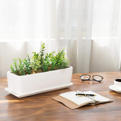 Pot d'intérieur en céramique, plante grasse rectangulaire