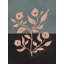 Blush Flora Contrast Print-1595459881-1595459883-1595459891