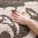 Chaffin Shag Performance Floral Rug