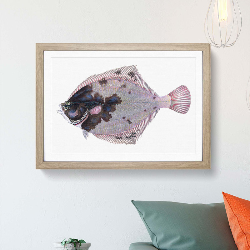 European Flouder Fish by Edward Donovan - Framed Print, Oak Framed, 27cm H x 36cm W x 2cm D