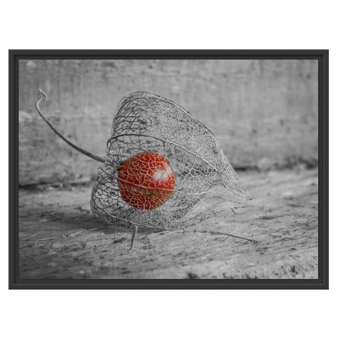 Gerahmtes Wandbild leckere Physalis in Schale