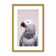 Nature Inspired African Gray by  - Picture Frame Photograph on Paper-81388149-131284593-131292025