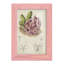 Cactus antique III, impression sur papier-881012498-881012507
