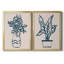 «Plant Sketches I», reproduction de photo sur toile 2 pièces-1078361121-1078361124