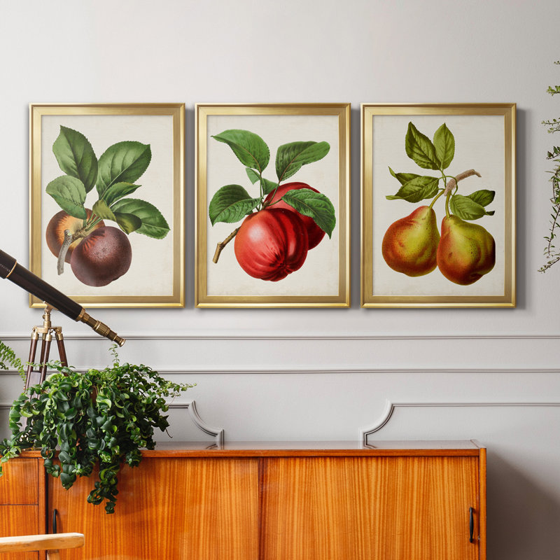 Antique Fruit IX - Ensemble de 3 impressions sur toile encadrées, Doré, H 22,5 po x l 91,5 po x P 1,5 po