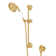 Spa Handshower Set with 22" Slide Bar and Single-Function Handshower