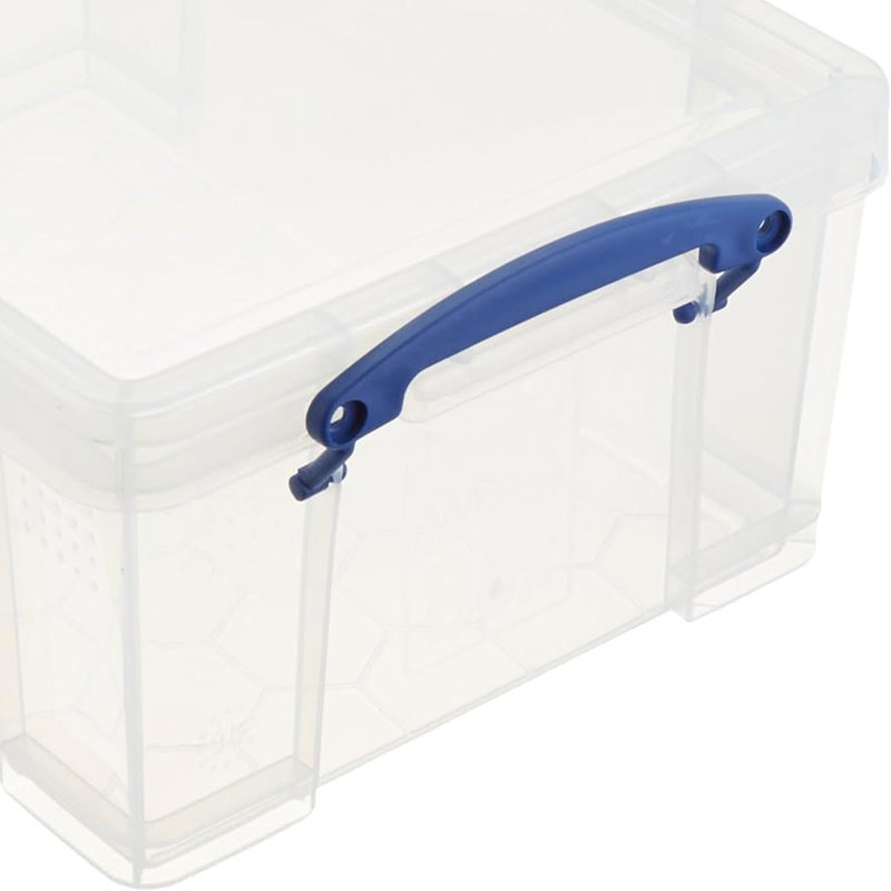 Ivy Bronx 9 Liters Transparent Storage Container with Snap Lid, 4 Pack