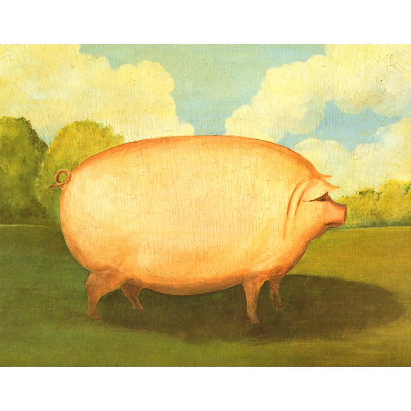 Cochon rose