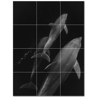 Murale en céramique 8 "x 8" Dolphin Photo