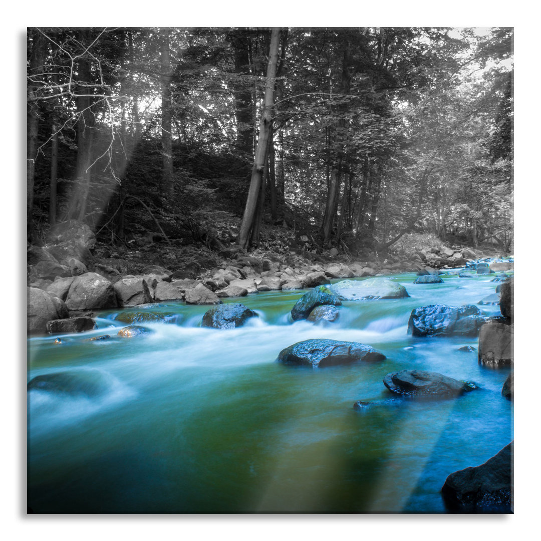 Glasbild Fluss im Wald mit Steinen