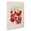 Illustration of Strawberry Plants - Wrapped Canvas-55304455