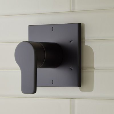 Hibiscus In Wall Shower Diverter with Valve