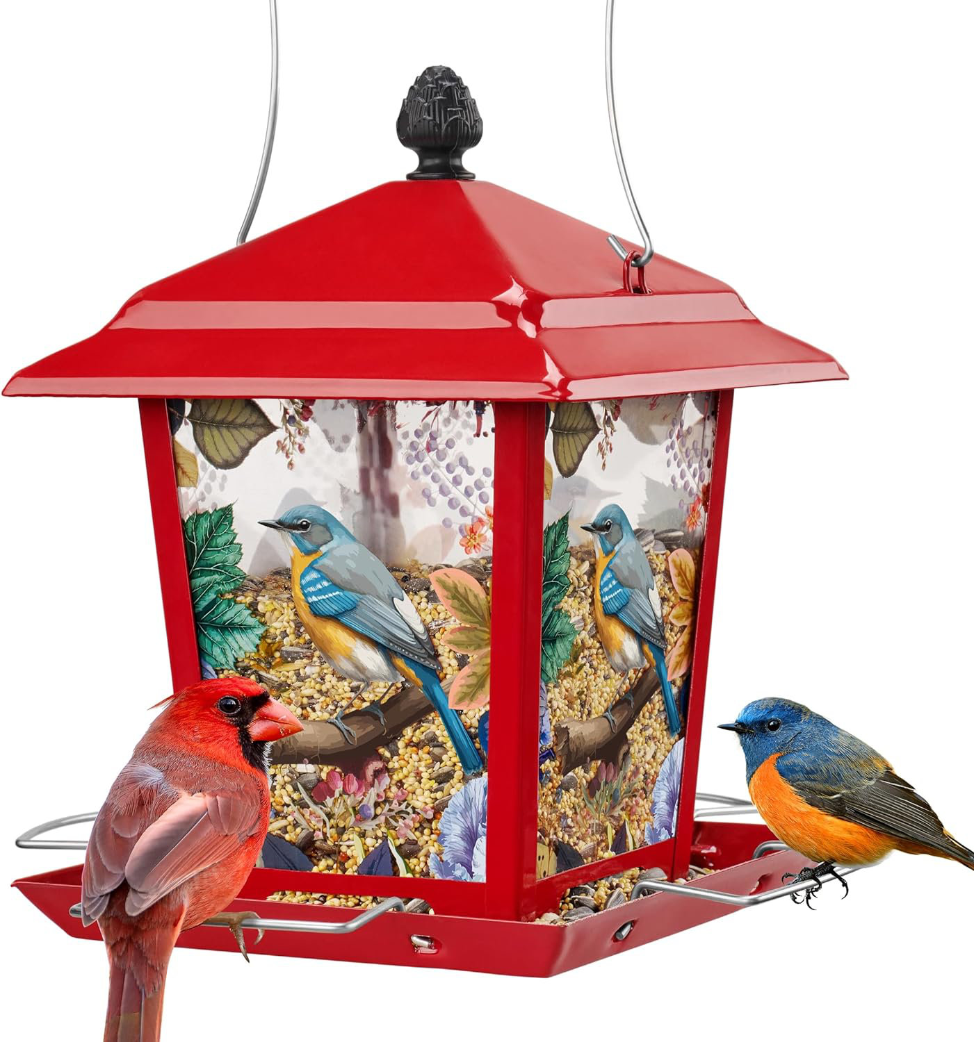 Kazoo Metal Bird Feeder For Outdoor Hanging - Unique Design Wild Bird ...