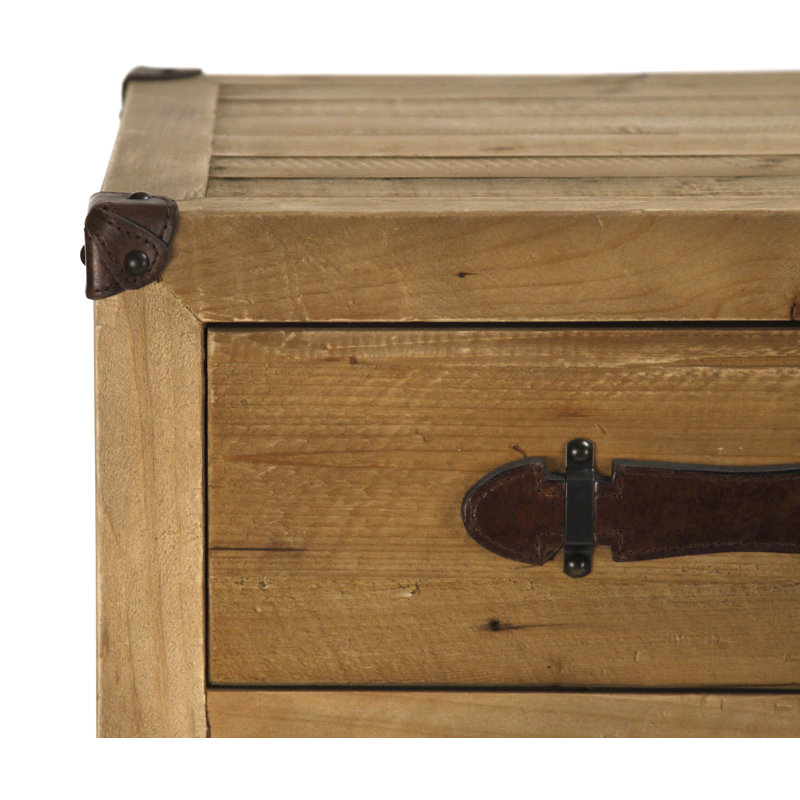 Abott 43.5'' W Solid Wood Server