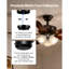 Ensemble de lumière pour ventilateur de plafond, ensemble de lumière de ventilateur à trois lumières 3000K 750lm avec chaîne de traction, luminaire de remplacement pour salon, chambre à coucher, salle à manger, décoration intérieure, verre blanc nuage et finition nickel brossé