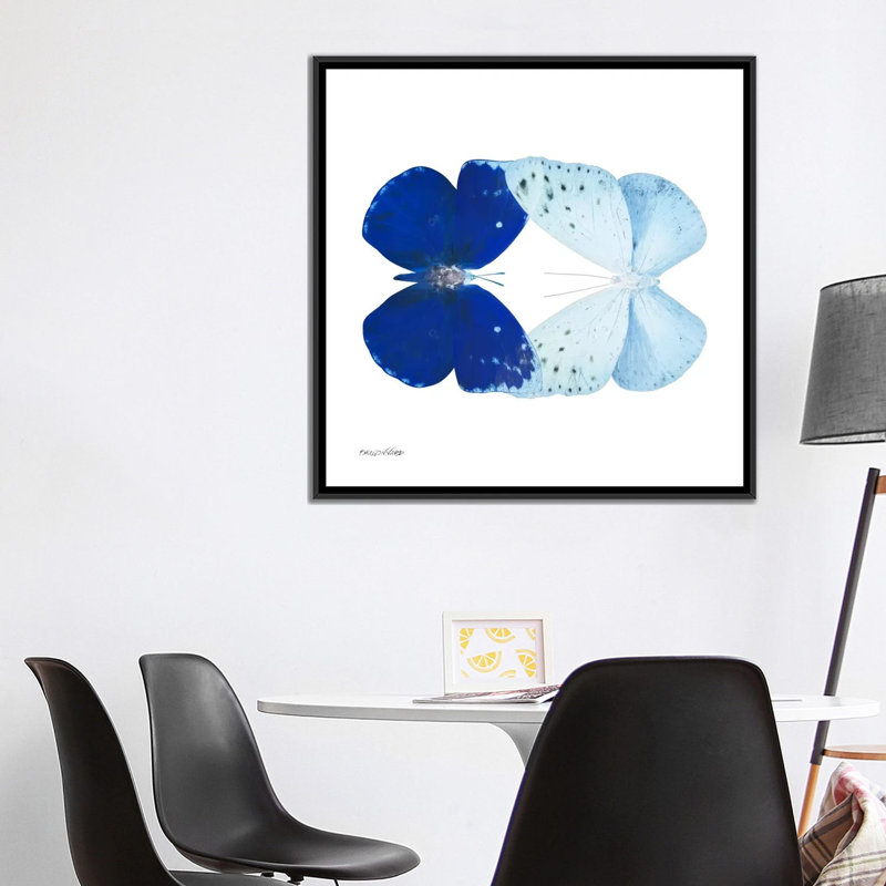 « miss papillon x-ray vii », impression sur toile, H 37 po x l 37 po x P 1,5 po, Toile tendue