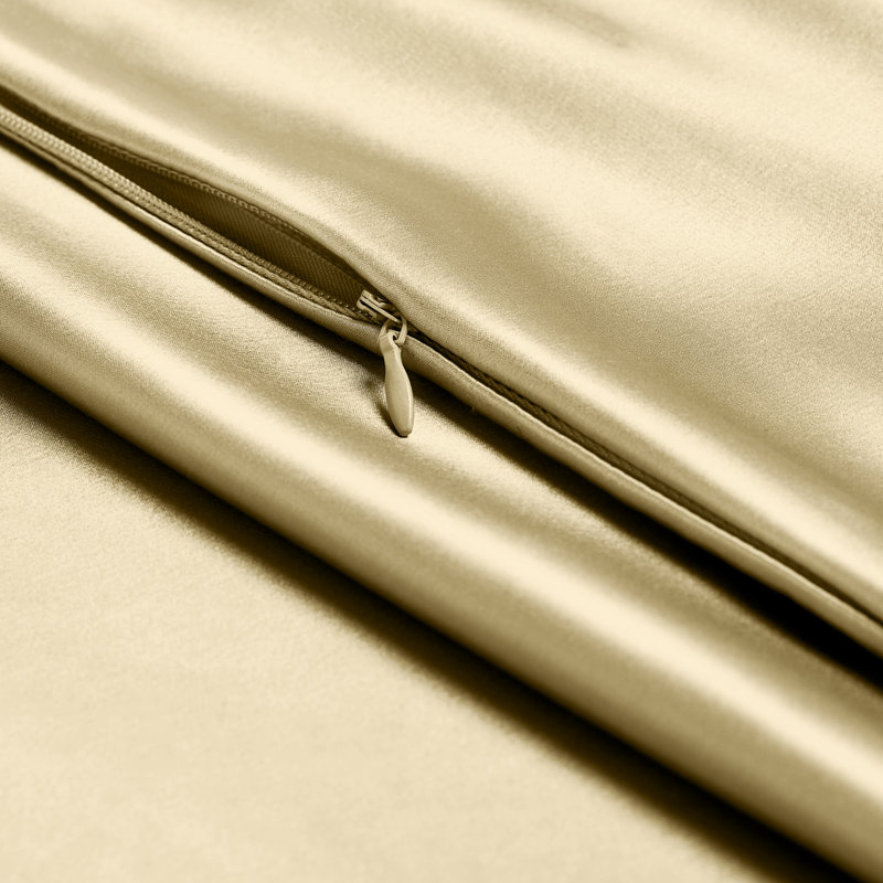 100% Mulberry Silk Pillowcase Zipper Closure, Champagne, 1 Queen Pillowcase